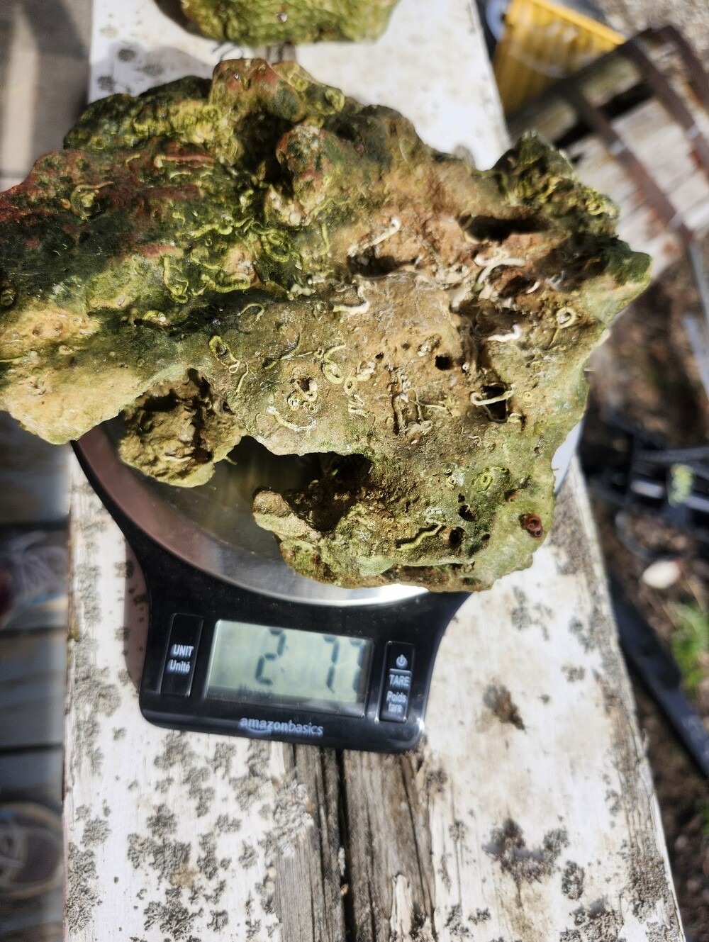 Fiji Dry Base Rock for Saltwater Aquarium Setup Natural Reef Rock Aquascaping
